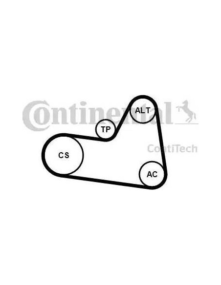 Correa auxiliar Poly-V Continental 6PK1710K1 6 canales 1710 mm