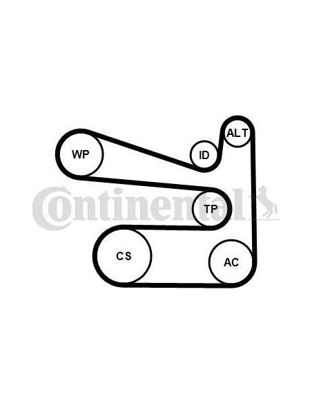 Correa auxiliar Poly-V Continental 6PK1693K1 6 canales 1693 mm