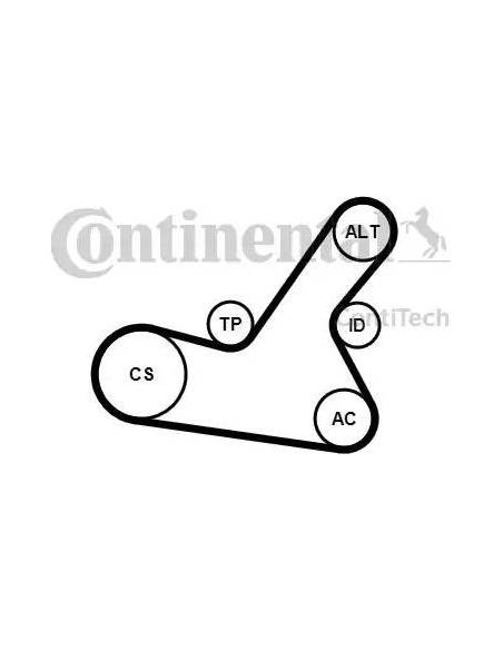 Correa auxiliar Poly-V Continental 6PK1564K2 6 canales 1564 mm