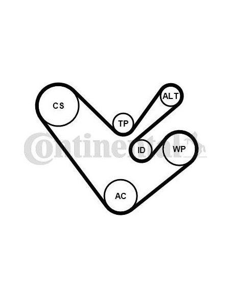 Correa auxiliar Poly-V Continental 6PK1555K4 6 canales 1555 mm