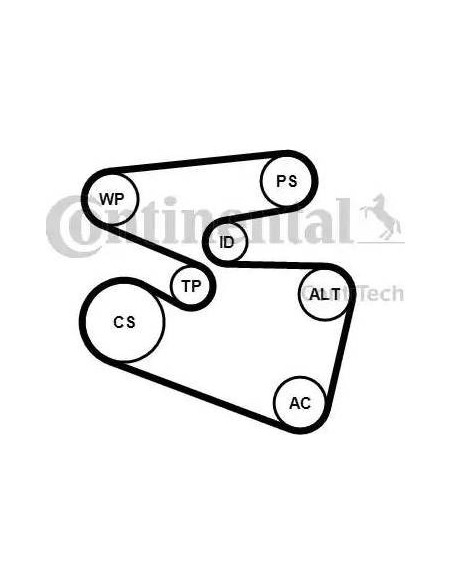 Correa auxiliar Poly-V Continental 6PK1555K3 6 canales 1555 mm