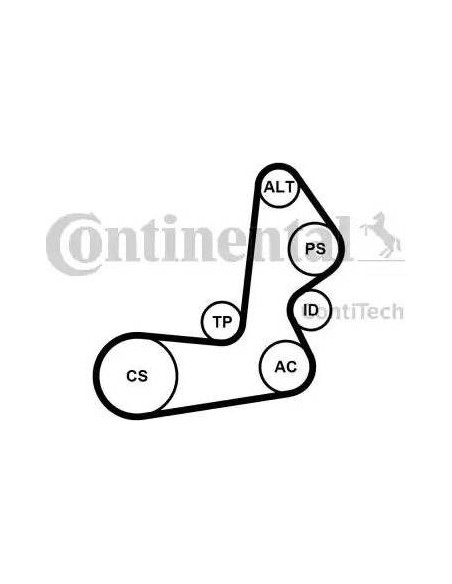Correa auxiliar Poly-V Continental 6PK1515K1 6 canales 1515 mm