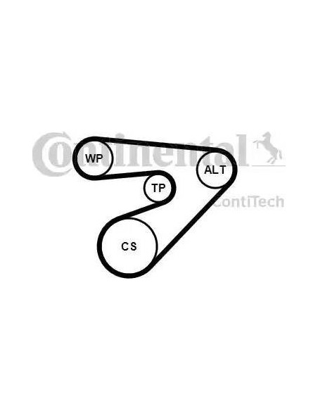 Correa auxiliar Poly-V Continental 6PK1453K2 6 canales 1453 mm