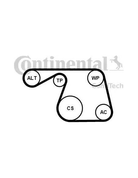 Correa auxiliar Poly-V Continental 6PK1310K1 6 canales 1310 mm