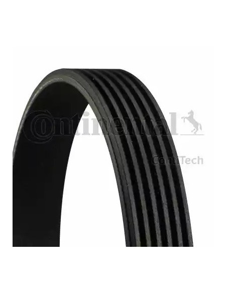 Correa auxiliar Poly-V Continental 6PK1256 6 canales 1256 mm