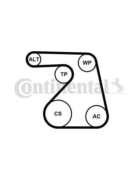 Correa auxiliar Poly-V Continental 6PK1217K2 6 canales 1217 mm