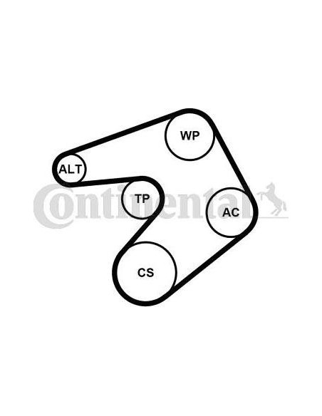 Correa auxiliar Poly-V Continental 6PK1205K1 6 canales 1205 mm