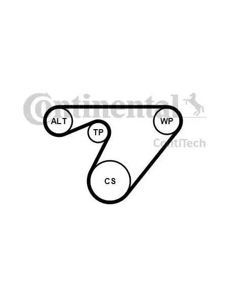 Correa auxiliar Poly-V Continental 6PK1180K3 6 canales 1180 mm