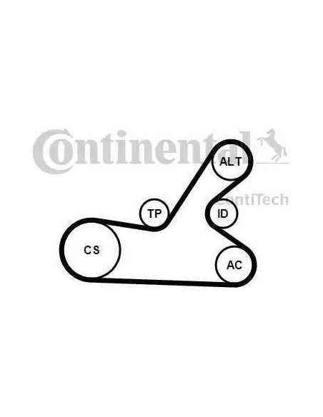 Correa auxiliar Poly-V Continental 6PK1145K4 6 canales 1145 mm