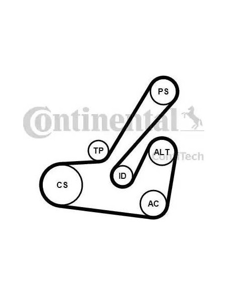 Correa auxiliar Poly-V Continental 6PK1145K2 6 canales 1145 mm