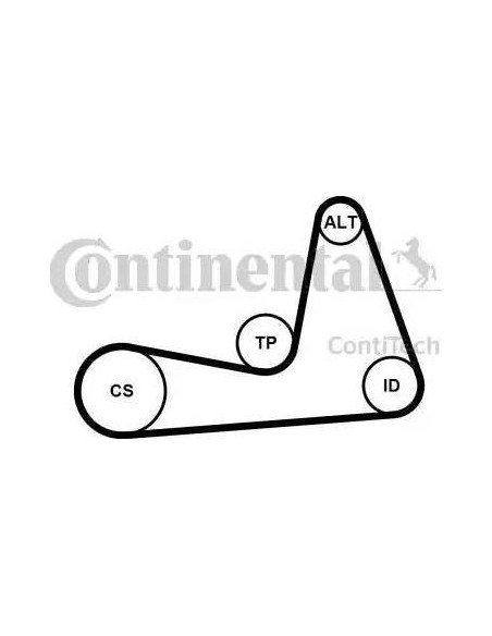 Correa auxiliar Poly-V Continental 6PK1130K1 6 canales 1130 mm