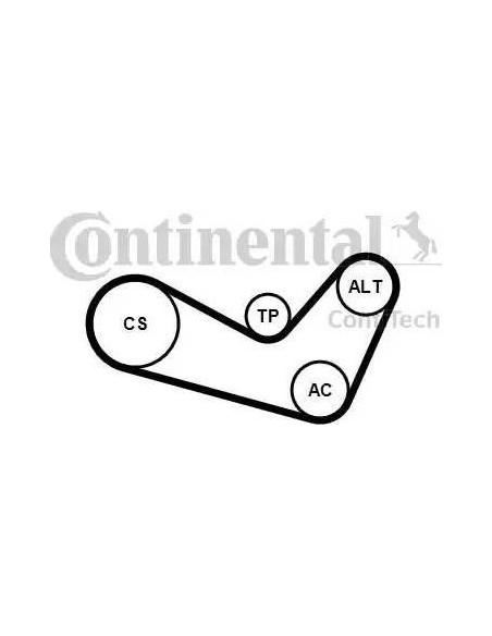 Correa auxiliar Poly-V Continental 6PK1080K1 6 canales 1080 mm