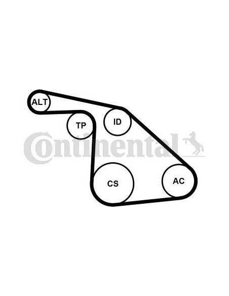 Correa auxiliar Poly-V Continental 6PK1038K1 6 canales 1038 mm