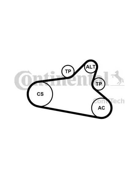 Correa auxiliar Poly-V Continental 6PK1020EXTRAK1 6 canales 1020 mm