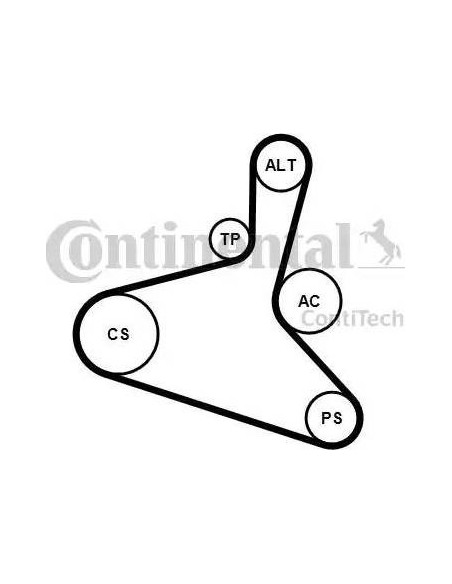 Correa auxiliar DPK Continental 6DPK1195K1 6 canales 1195 mm