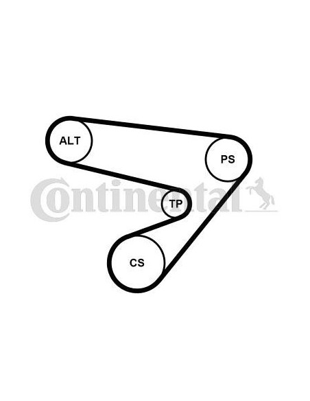 Correa auxiliar Poly-V Continental 5PK1230K1 5 canales 1230 mm