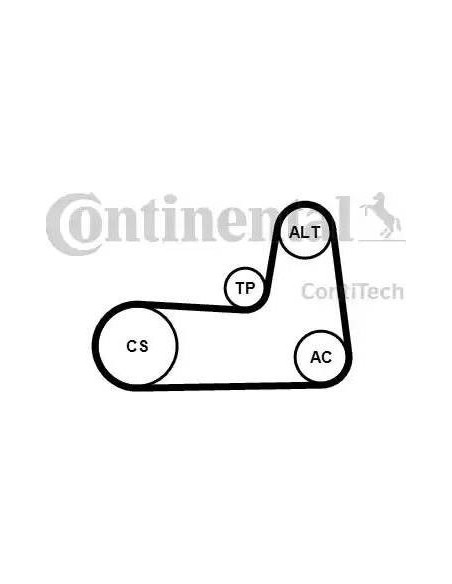 Correa auxiliar Poly-V Continental 5PK1125K1 5 canales 1125 mm