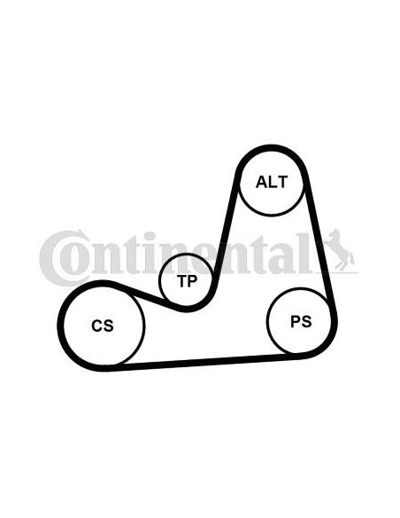 Correa auxiliar Poly-V Continental 5PK1110K2 5 canales 1110 mm