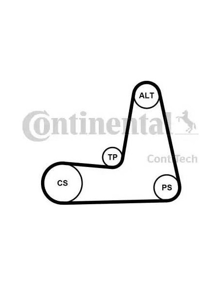 Correa auxiliar Poly-V Continental 5PK1110K1 5 canales 1110 mm
