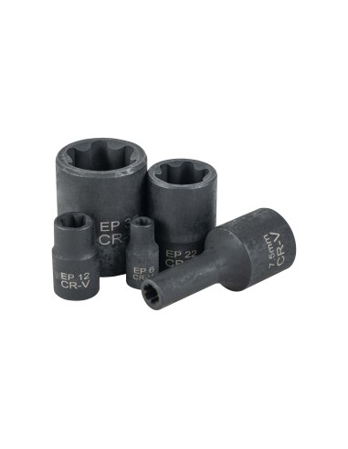 MALETÍN DE VASOS TORX PLUS, 5 Y 6 PUNTAS ESPECIAL TESLA