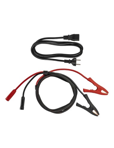 CARGADOR / ESTABILIZADOR INTELIGENTE DE CARGA - 100A