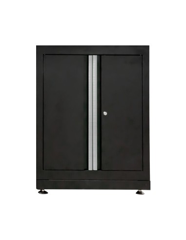 ARMARIO CON DOS PUERTAS - PLATA