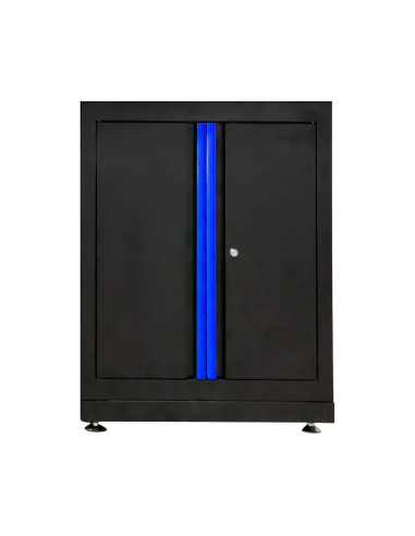 ARMARIO CON DOS PUERTAS - AZUL