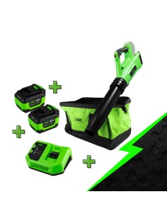 PROMO ELECTR: SOPLADOR A BATERÍA 60030 + X2 60015 + 60016 + 53782