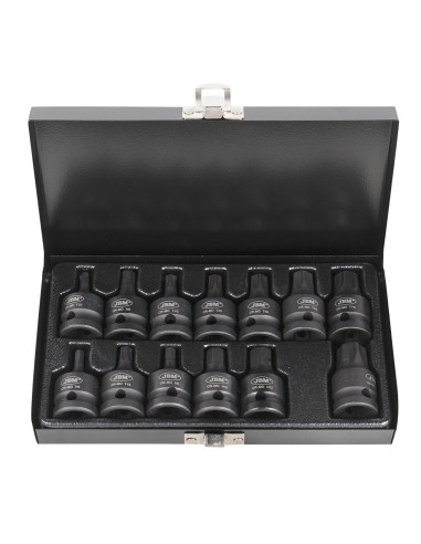 SET DE 13 PUNTAS DE IMPACTO HEXAGONALES Y TORX DE 1/2"