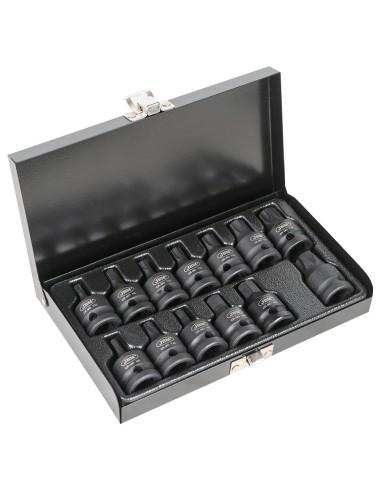 SET DE 13 PUNTAS DE IMPACTO HEXAGONALES Y TORX DE 1/2"
