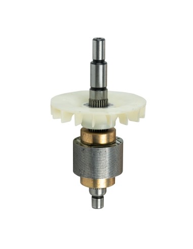 ROTOR (REF.60040)