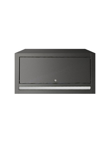 ARMARIO DE PARED - PLATA