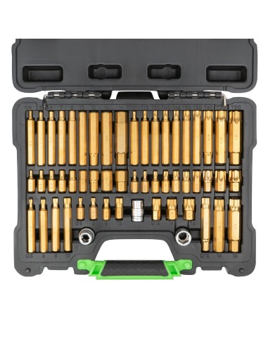 MALETÍN DE 55 PUNTAS Y ADAPTADORES HEXAGONALES, 12 CANTOS Y TORX DE 1/2" Y 3/8"