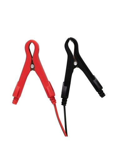 CARGADOR DE BATERIA 12/24V
