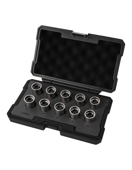 SET 10 LLAVES DE VASO PARA TORNILLOS DE BLOQUEO DE RUEDA TESLA