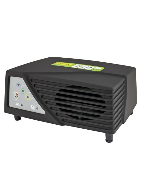 GENERADOR DE OZONO PORTÁTIL 600MG/H (12V/220V)