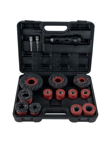 SET DE LIMPIEZA DE BUJES 15 PIEZAS