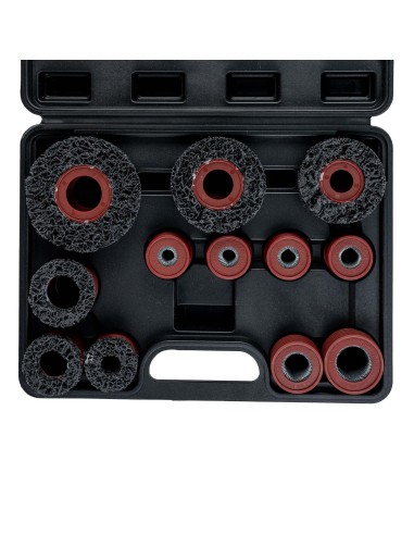 SET DE LIMPIEZA DE BUJES 15 PIEZAS