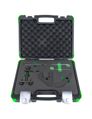 KIT DE BLOQUEO DE ÁRBOL DE LEVAS BMW M47/LAND ROVER TD4,TD6