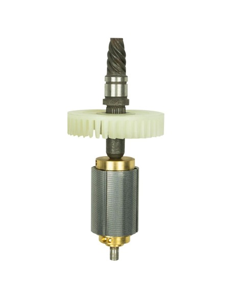 ROTOR PARA REF. 60009 - #25
