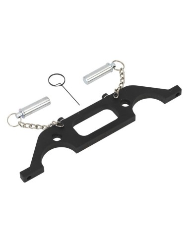 HERRAMIENTA DE SUJECIÓN DEL ÁRBOL DE LEVAS FIAT/OPEL/VAUXHALL 2.2 16V CADENA