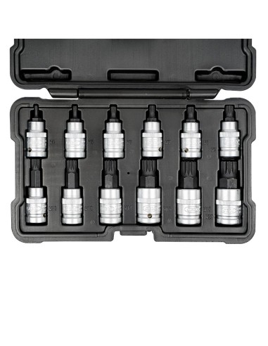 SET DE 12 PUNTAS DE 12 CANTOS DE 1/2"