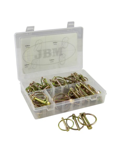 ESTUCHE DE PASADORES CON ANILLA 50PCS