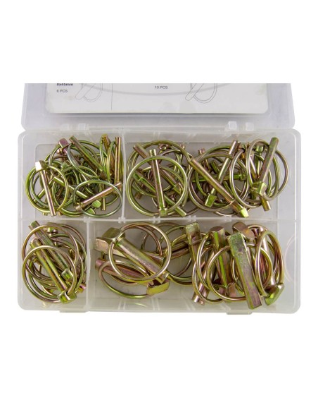 ESTUCHE DE PASADORES CON ANILLA 50PCS