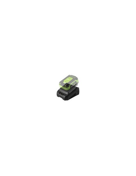 CARGADOR 20V - 2A