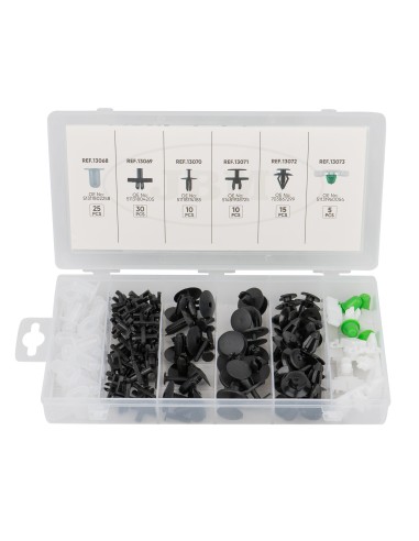 ESTUCHE DE CLIPS PLÁSTICOS BMW 95PCS