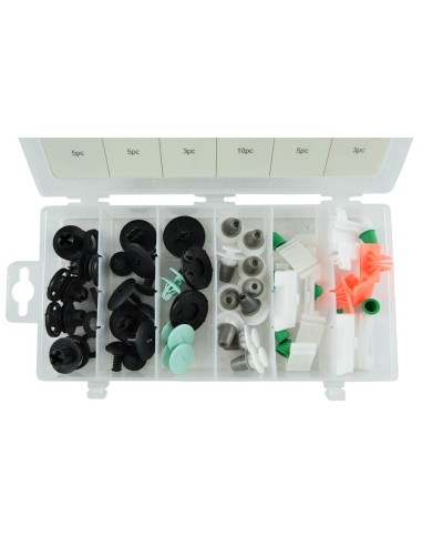 ESTUCHE DE CLIPS PLÁSTICOS AUDI 31PCS
