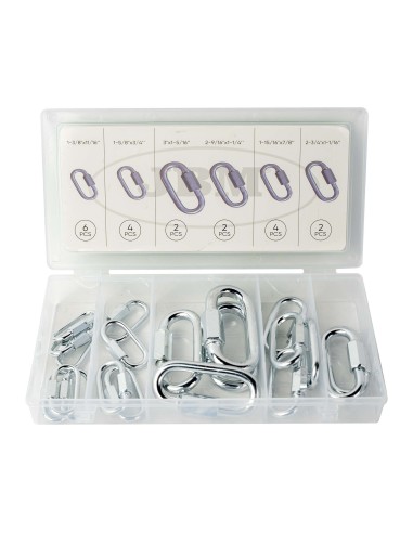 ESTUCHE DE MOSQUETONES CON ROSCA 20PCS