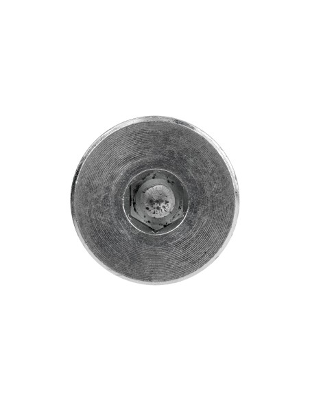 TORNILLO DEL ASIENTO PARA REF.60065