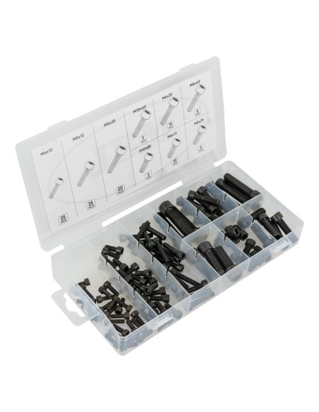 ESTUCHE DE TORNILLOS ALLEN 106PCS